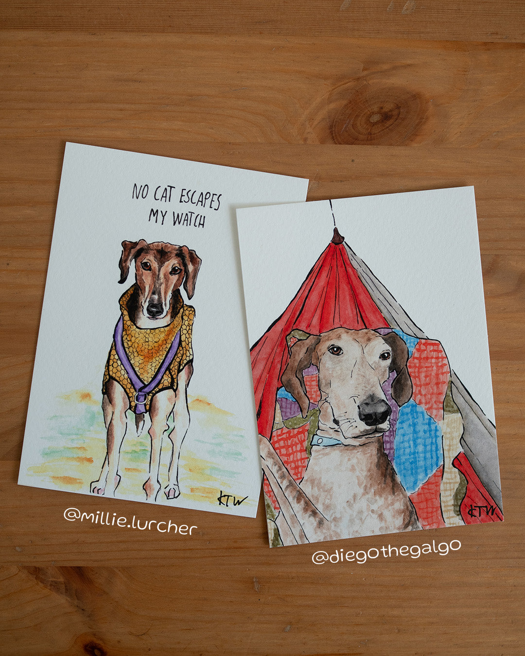Rescue Dog Art Club