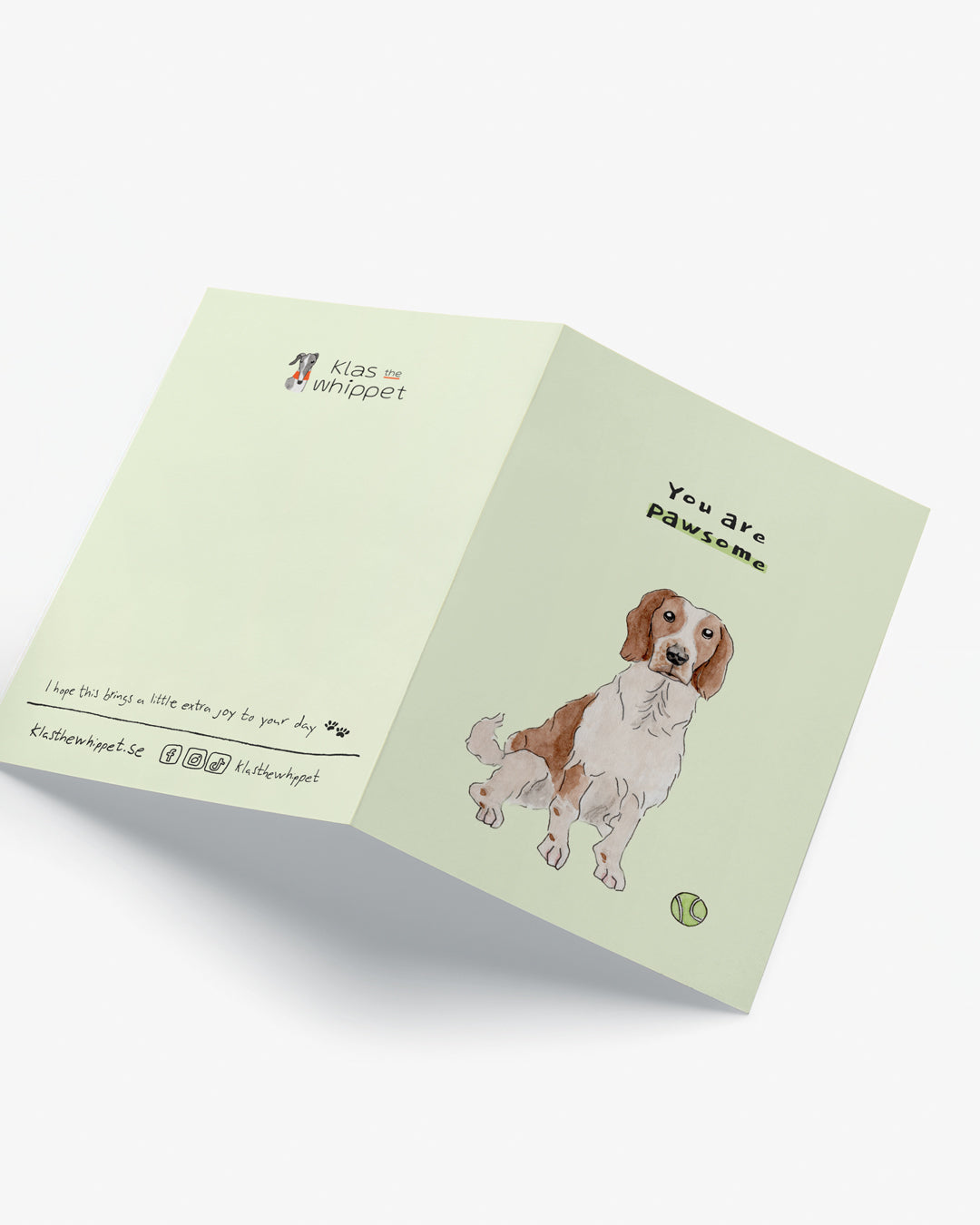 You are pawsome – Springer Spaniel