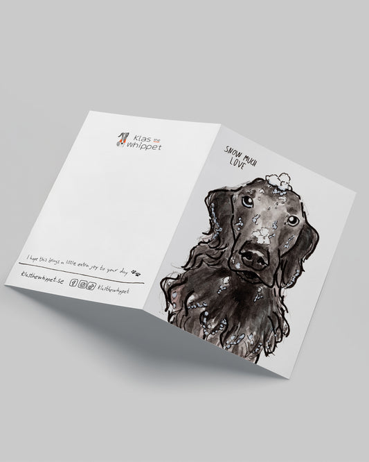 Snow much love - Flatcoated Retriever