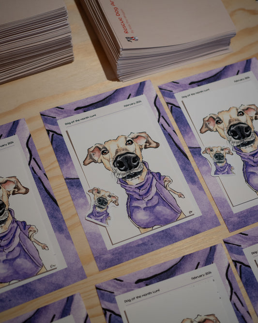 february 2026 - Art Club Recap