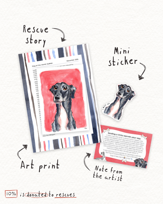 Rescue Dog Art Club