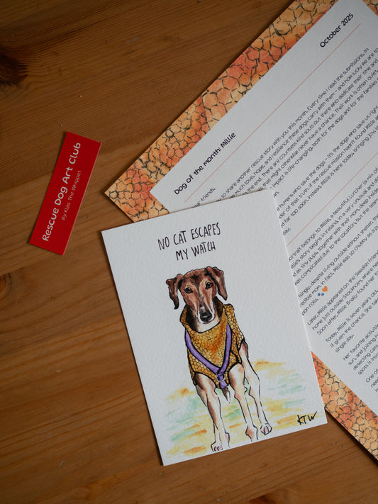 October 2025 - Art Club Recap