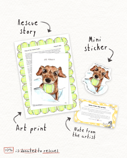 Rescue Dog Art Club