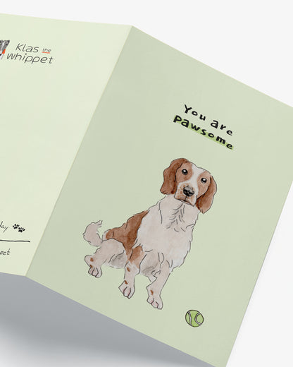 You are pawsome – Springer Spaniel