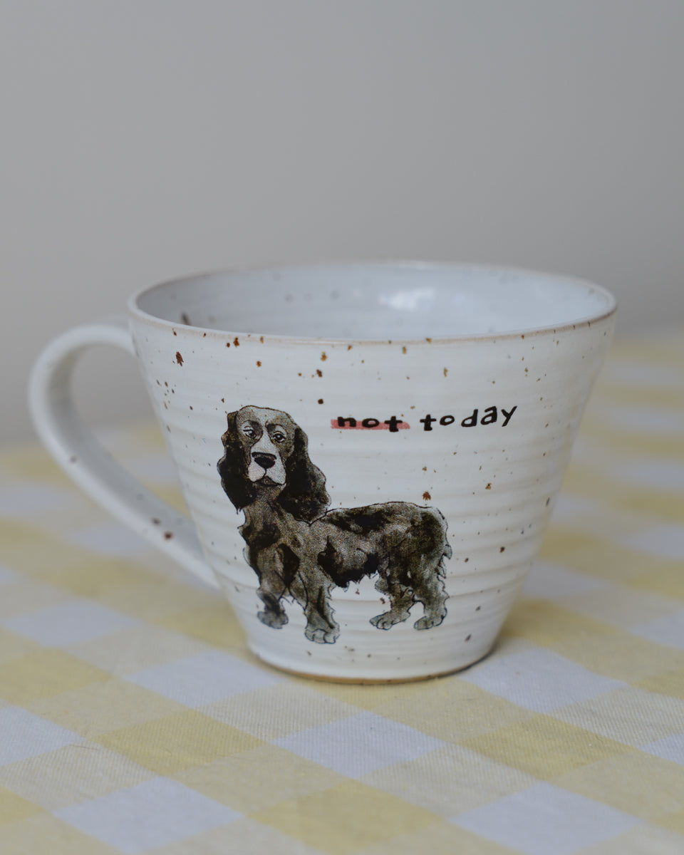 Not today – Cocker Spaniel