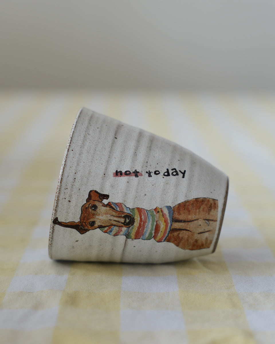 Not today – Sighthound