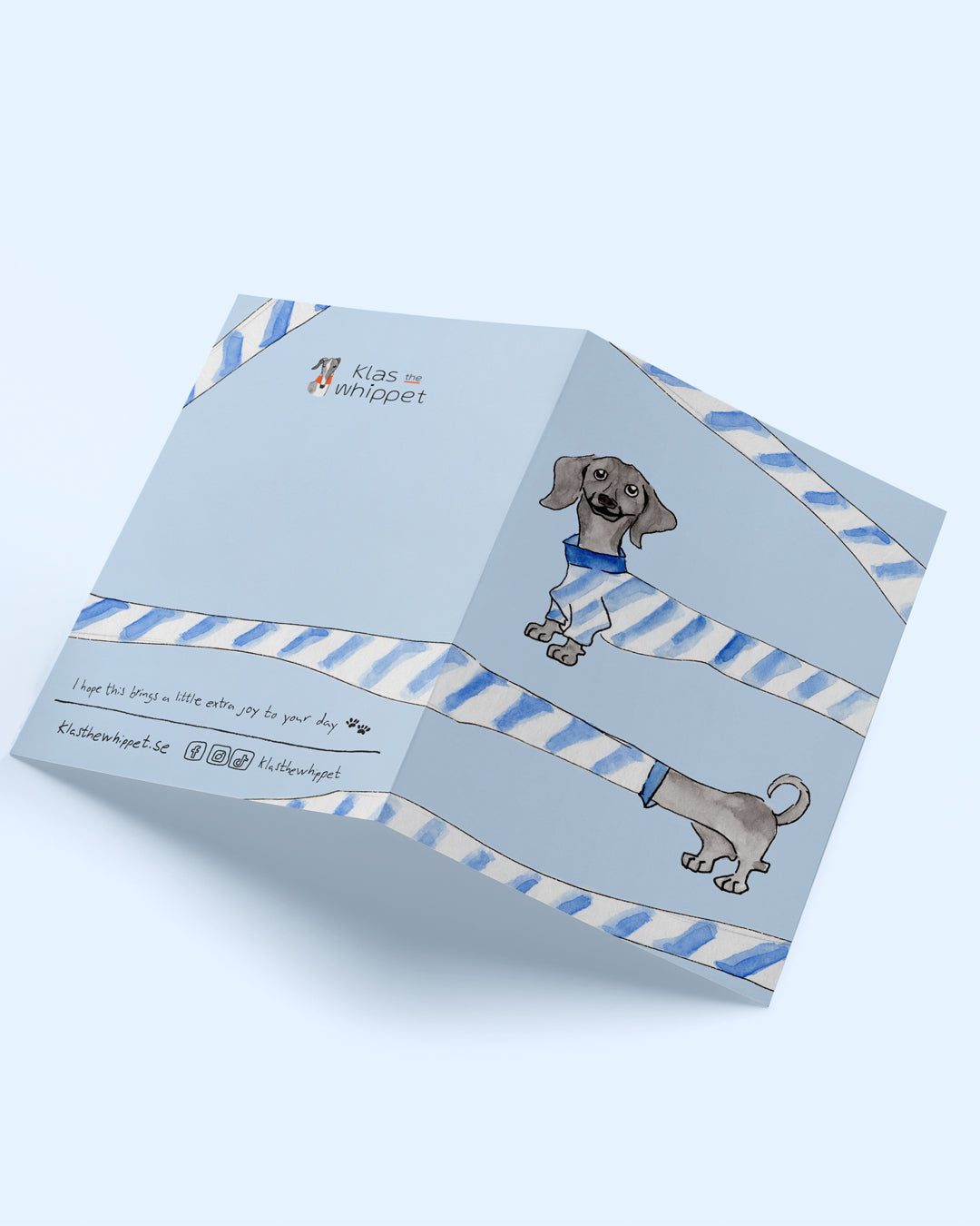 Looong dog – Dachshund