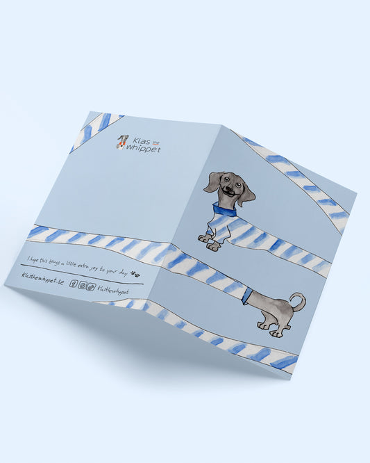 Looong dog – Dachshund