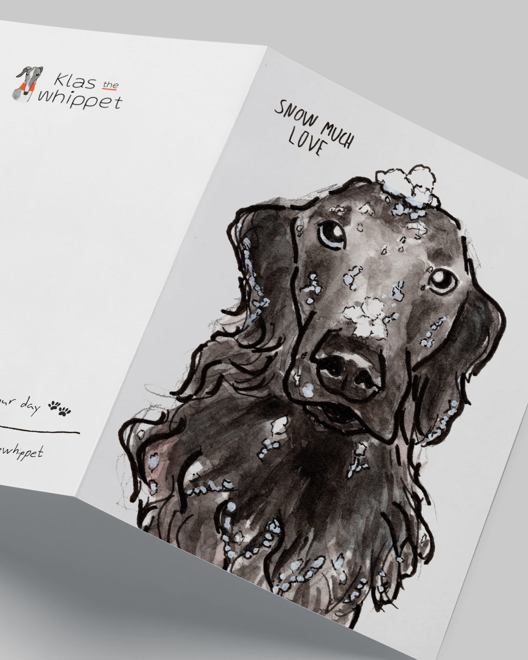 Snow much love - Flatcoated Retriever